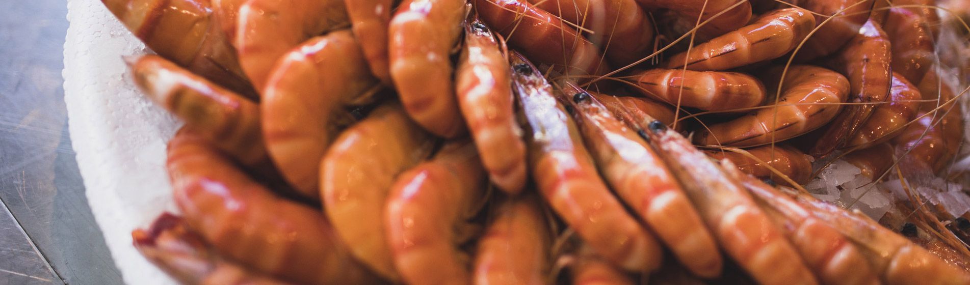 Acheter poisson frais