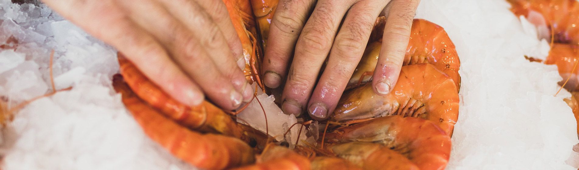 Livraison poisson de qualite