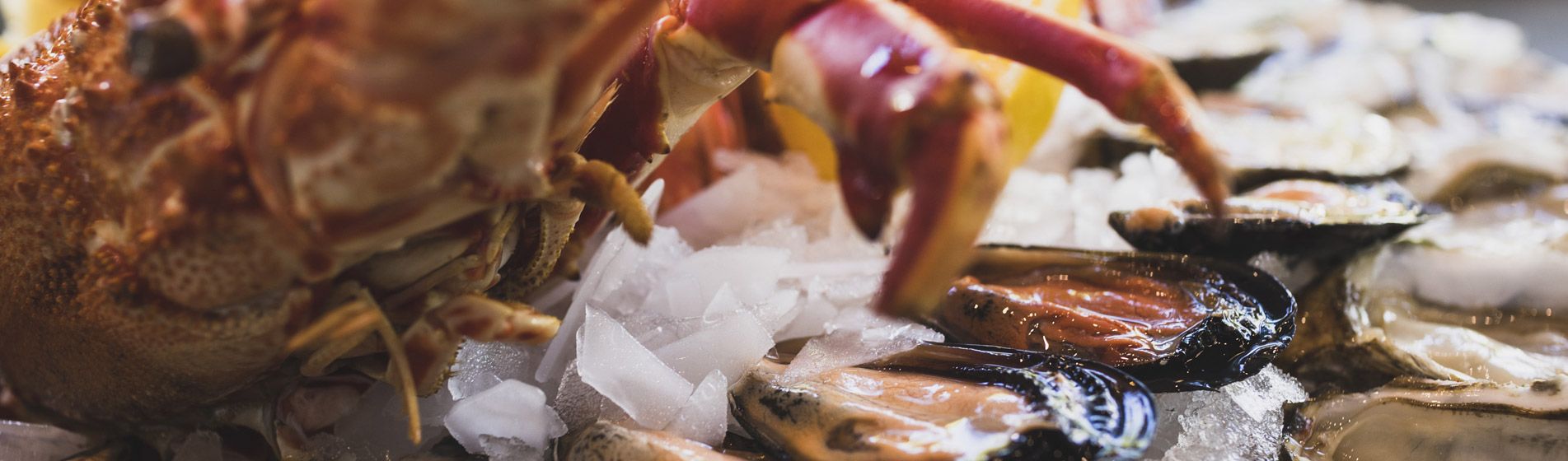 Livraison poisson de qualite