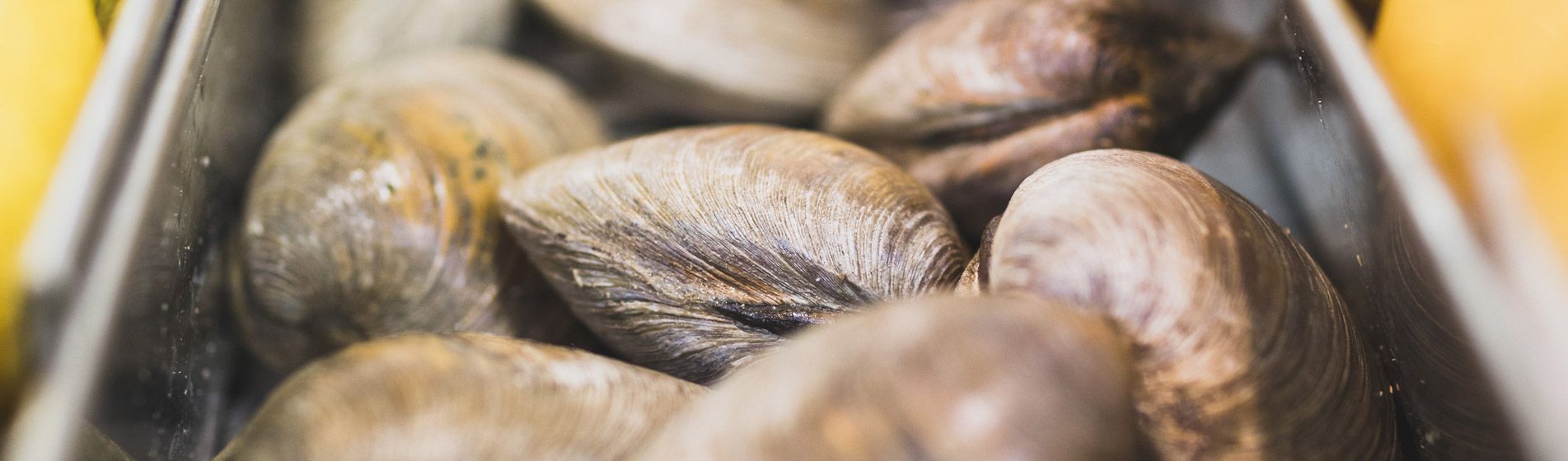 Prix poisson de qualite