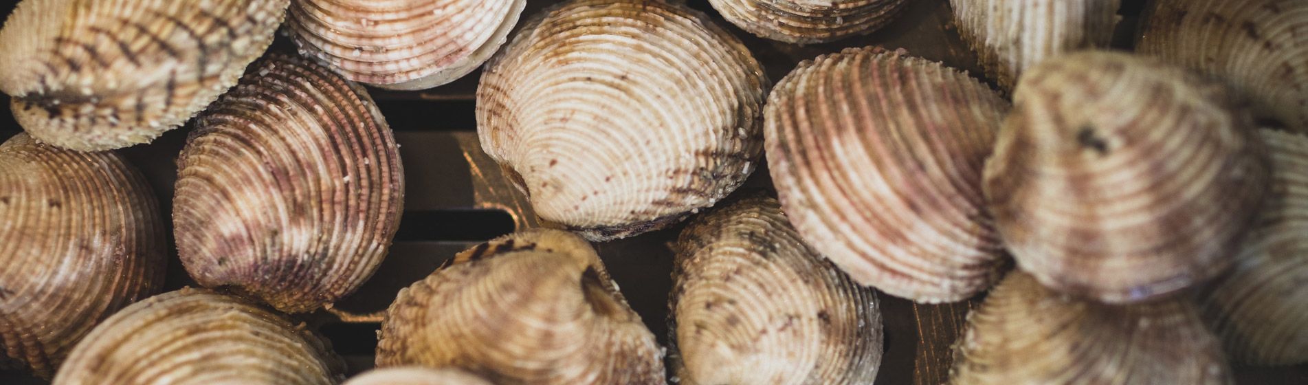 Livraison poisson de qualite