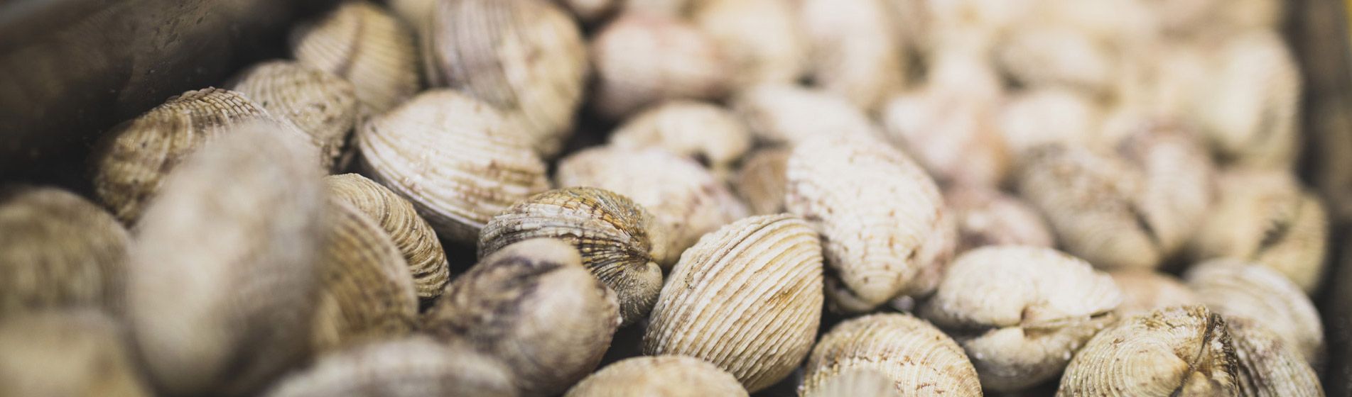 Vente a emporter poisson frais