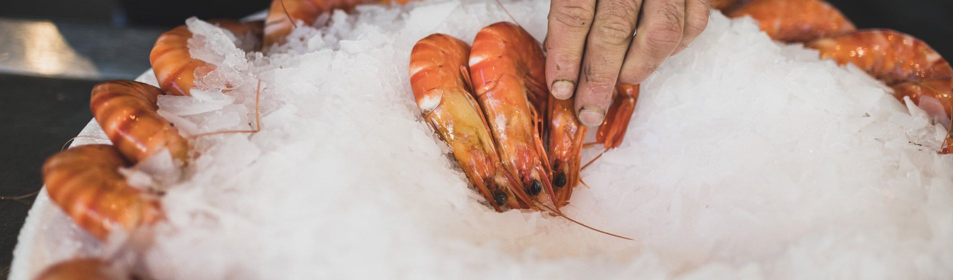 Vente a emporter poisson frais