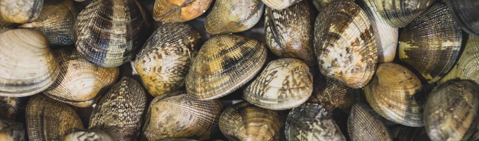 Vente a emporter coquillage Aubagne (13400)