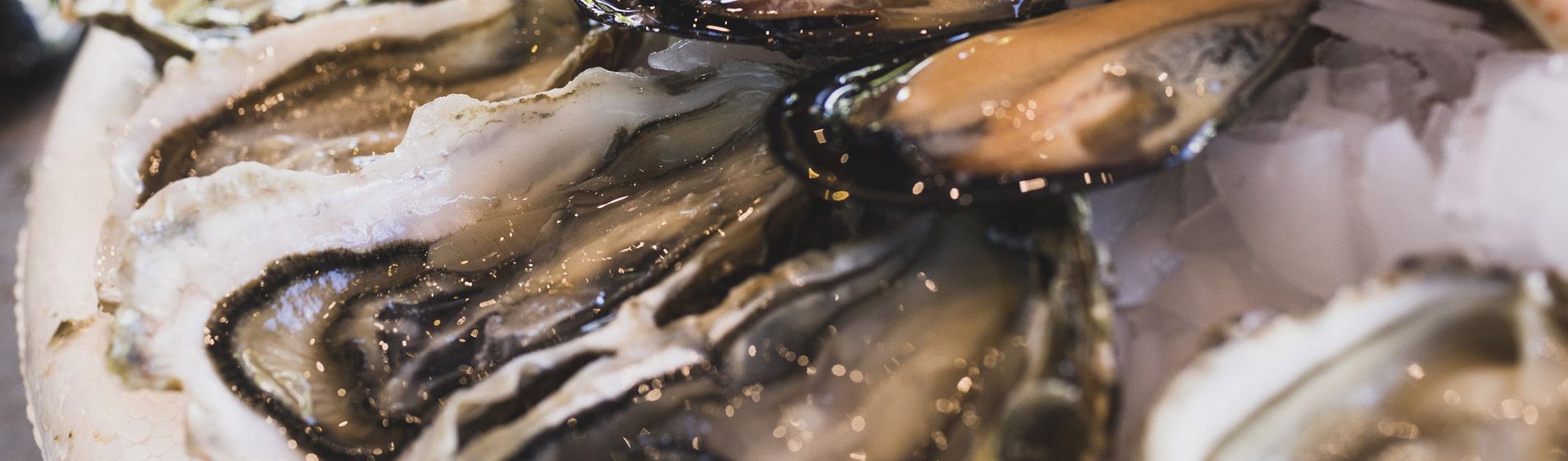 Coquillage midi et soir