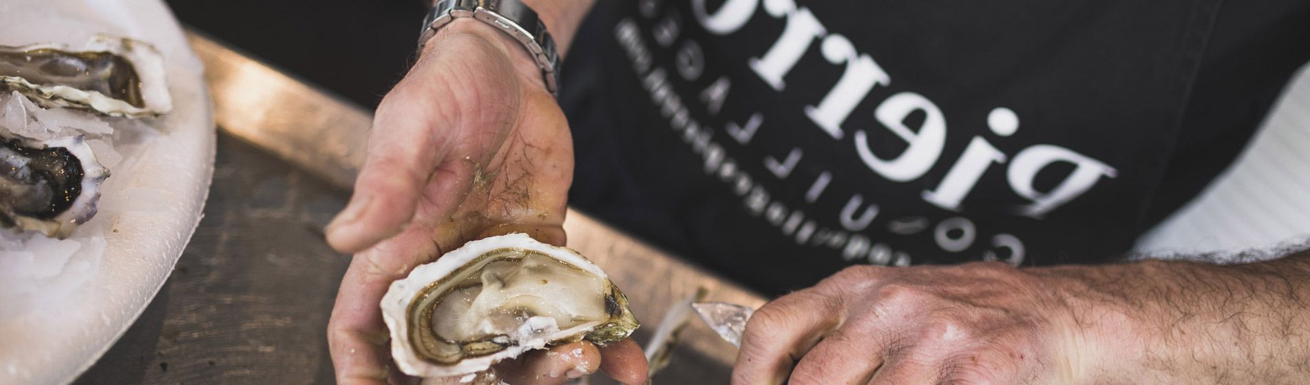 Commander coquillage