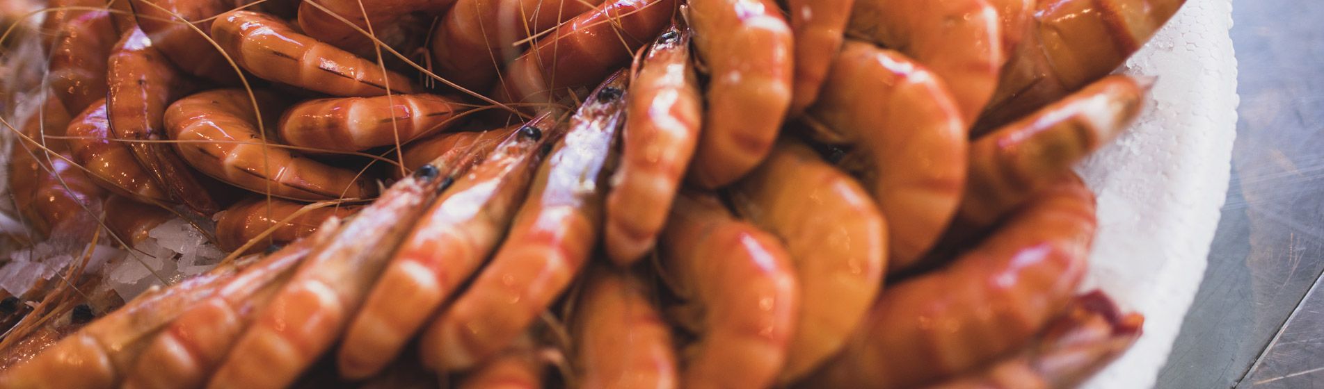 Livraison coquillage midi et soir