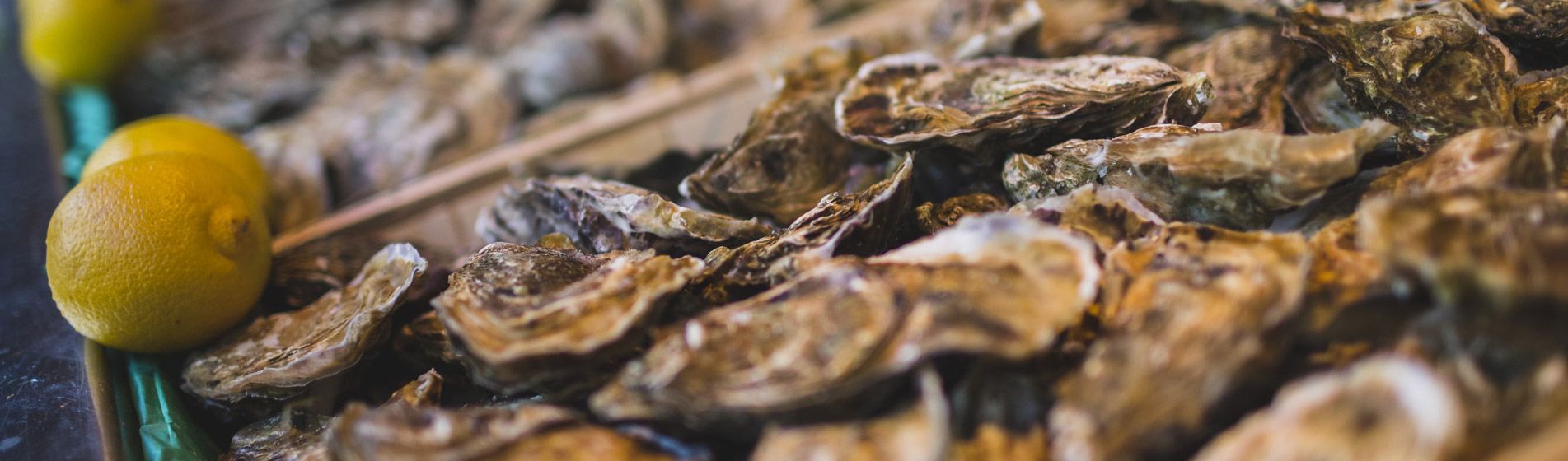 Livraison coquillage midi et soir