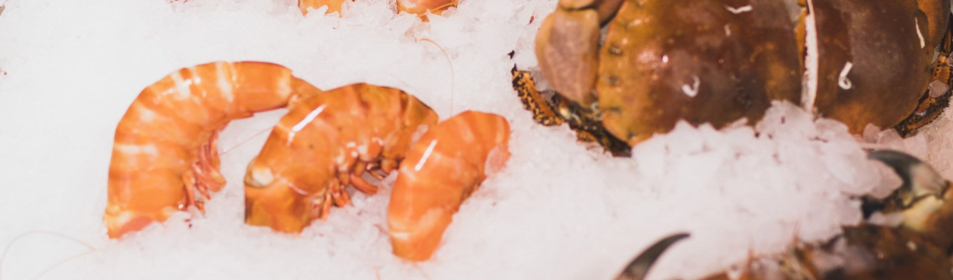 Livraison coquillage midi et soir