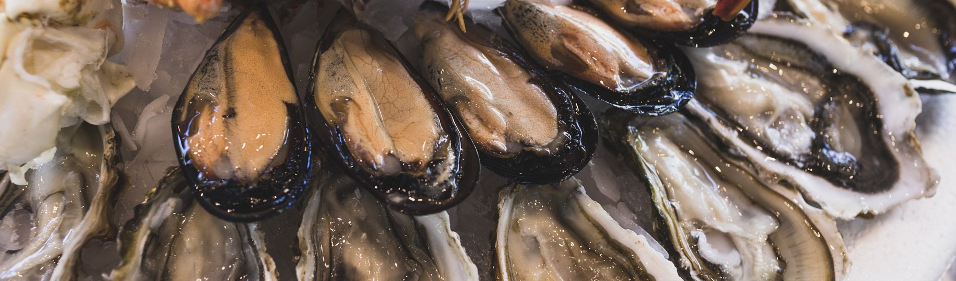 Commander coquillage