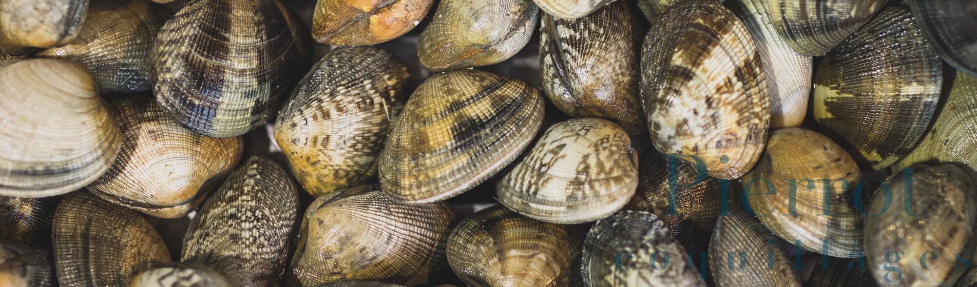 Vente a emporter coquillage