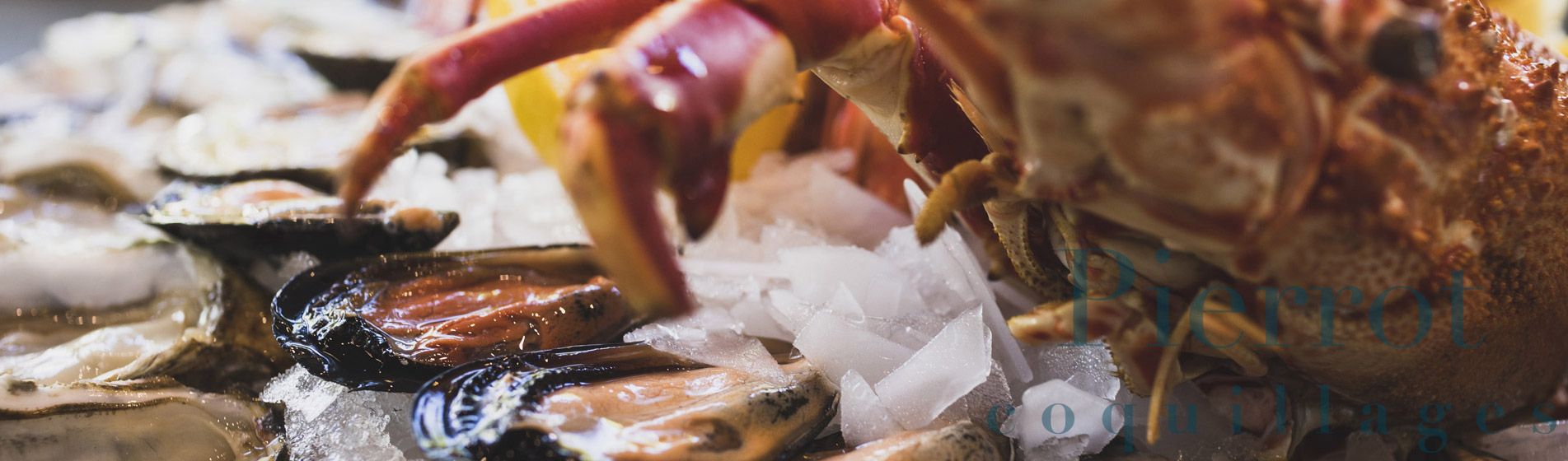 Coquillage midi et soir