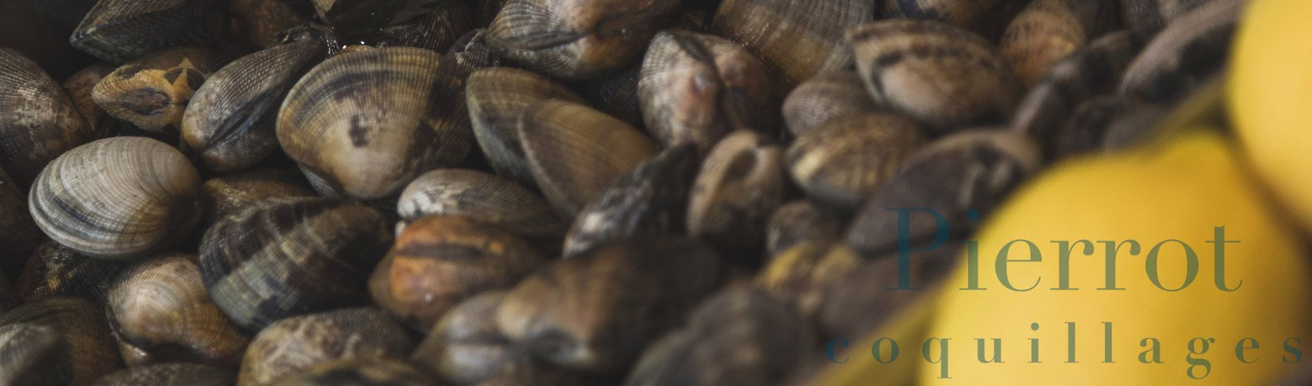 Livraison coquillage midi et soir