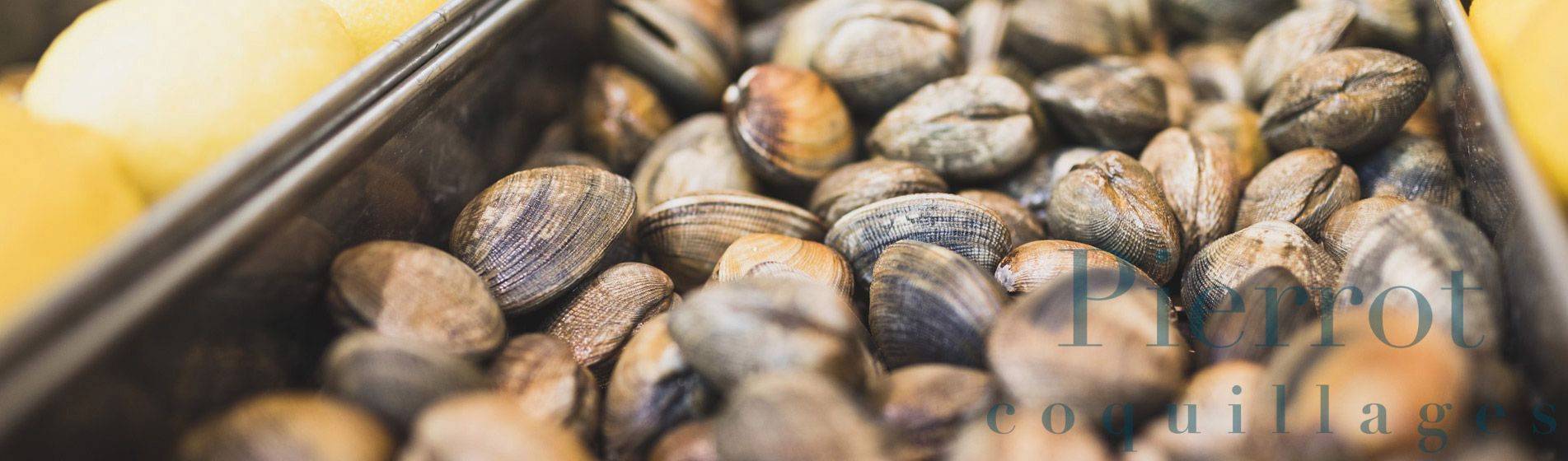 Vente a emporter coquillage