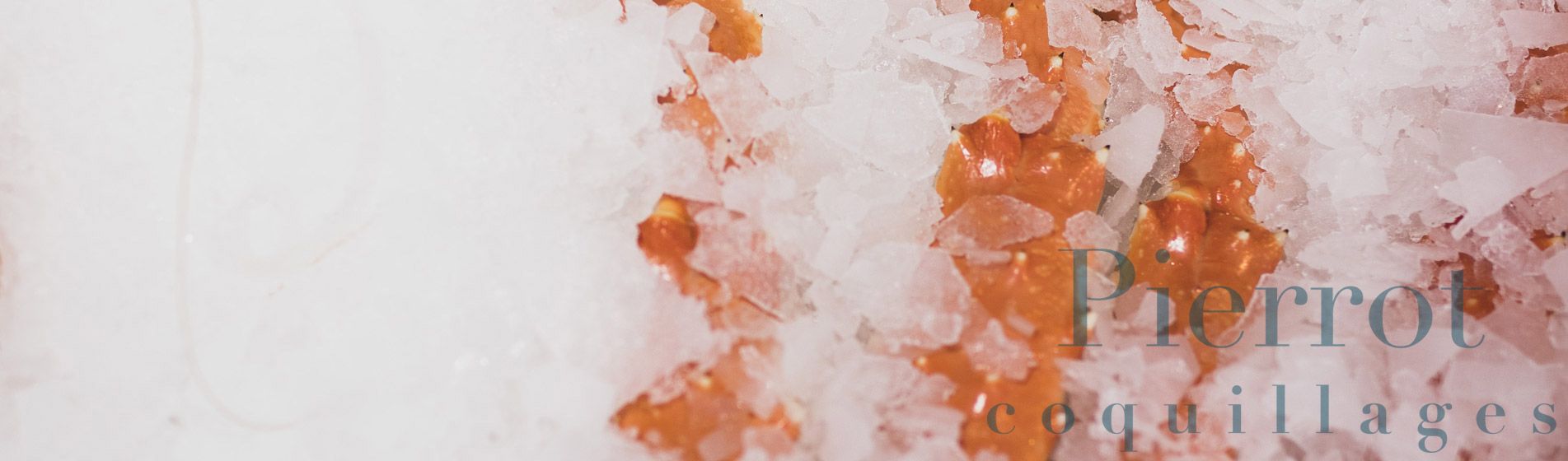 Livraison coquillage midi et soir