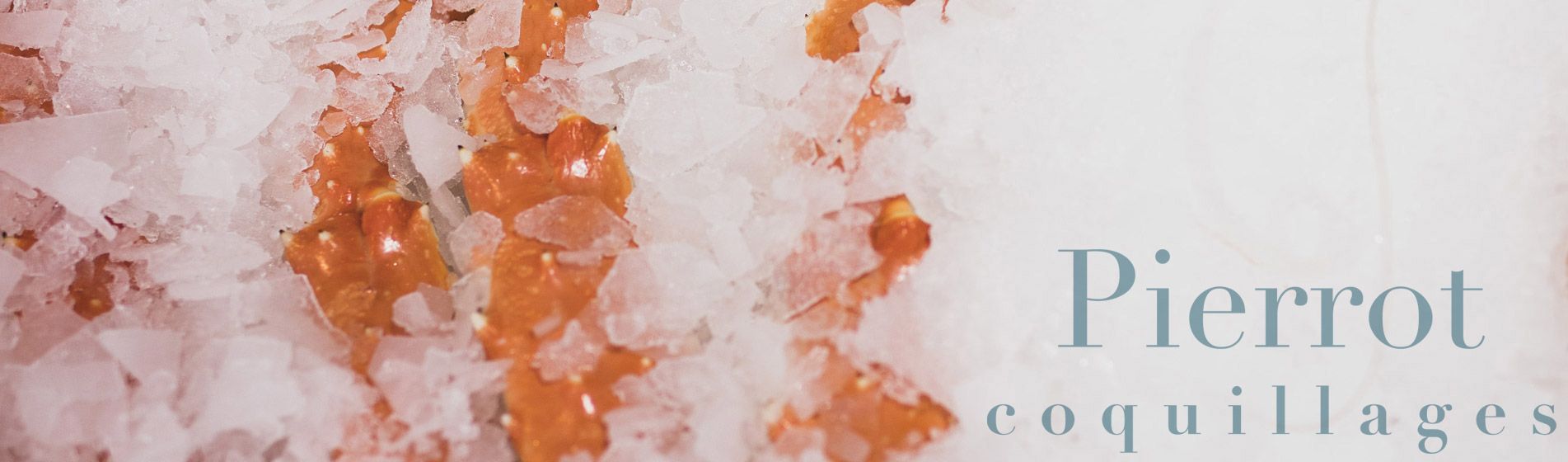 Livraison coquillage