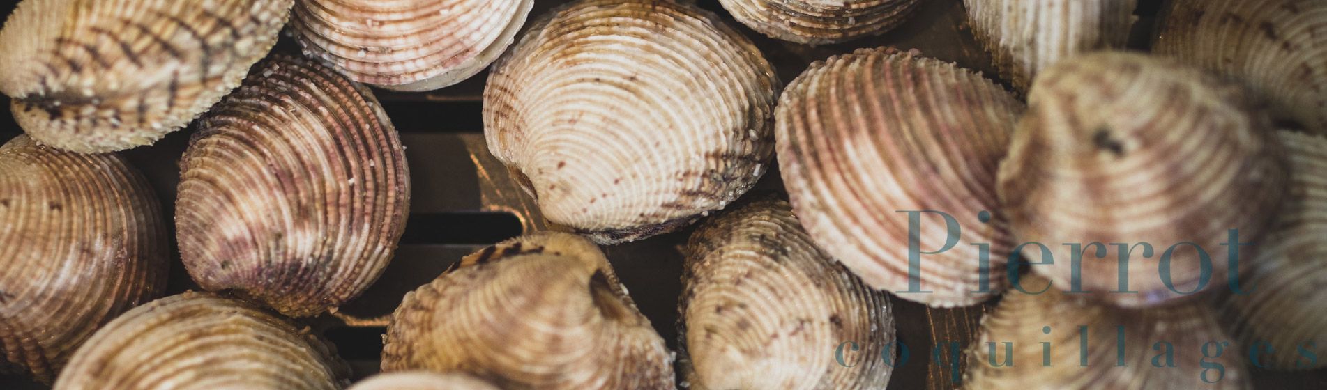 Vente a emporter coquillage