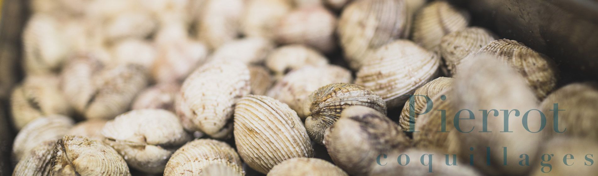 Livraison coquillage midi et soir