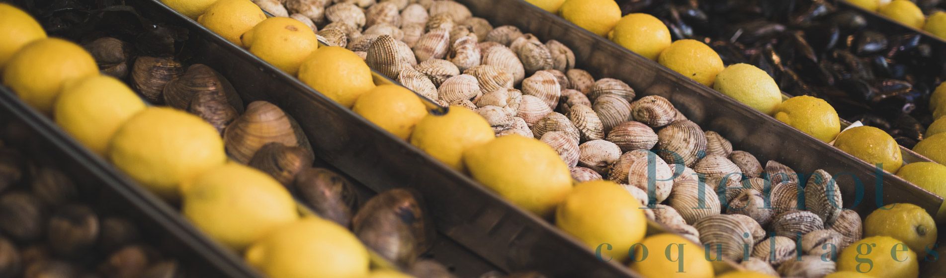 Livraison coquillage midi et soir
