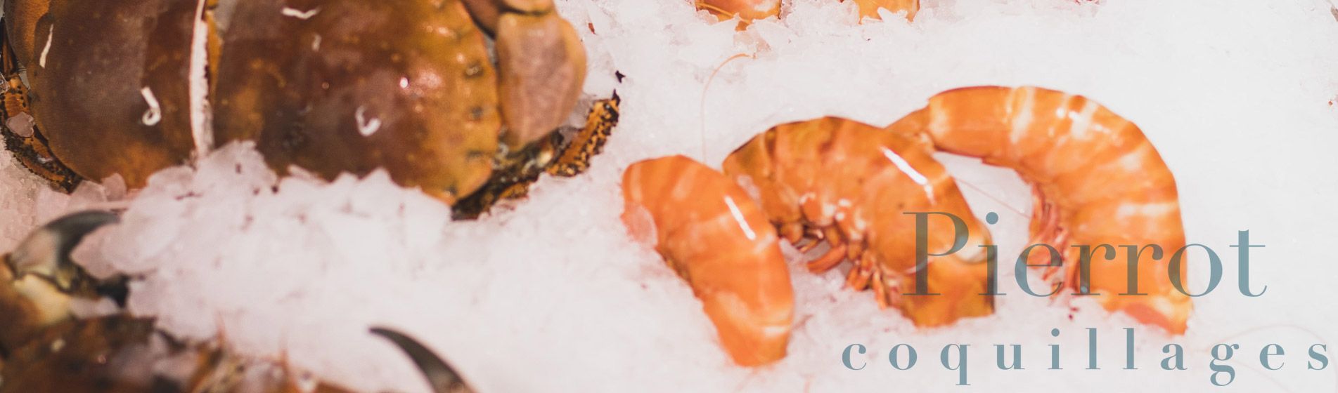 Commander coquillage