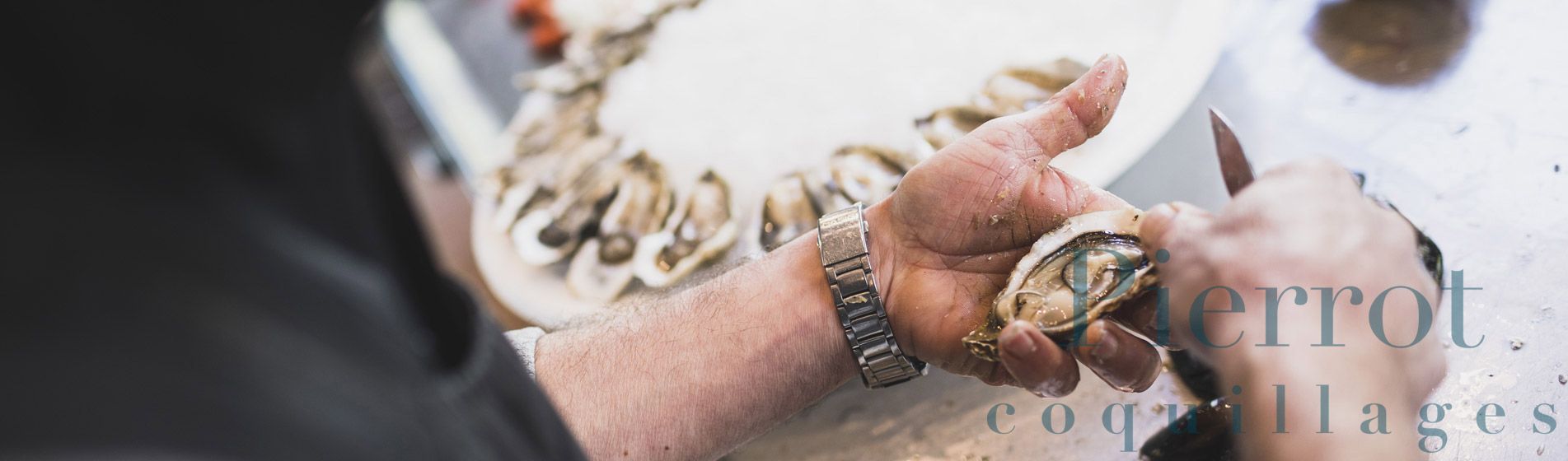 Coquillage midi et soir Bouc-Bel-Air (13320)