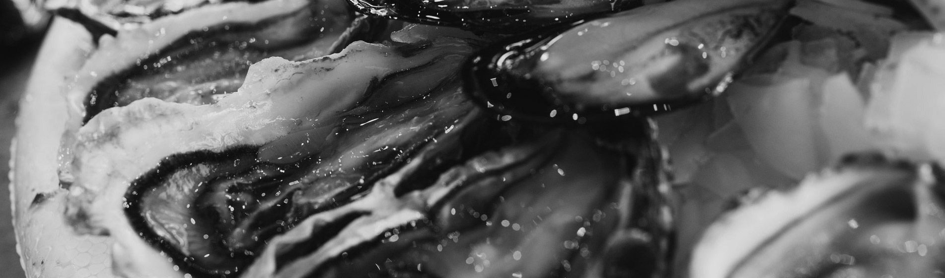 Commander crabe midi et soir