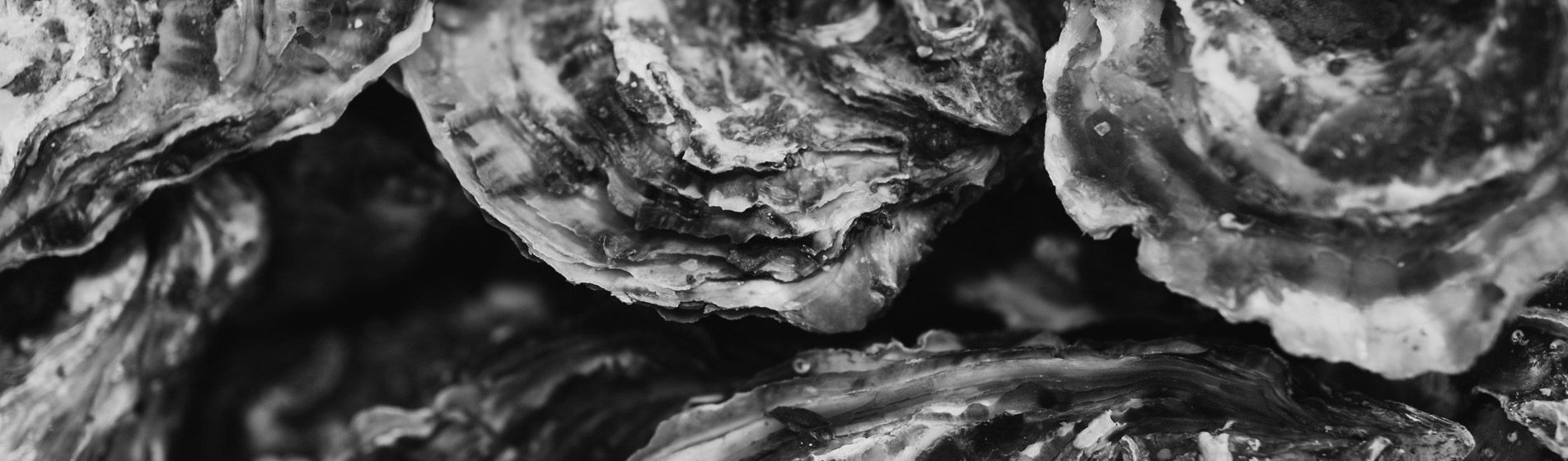 Vente a emporter crabe