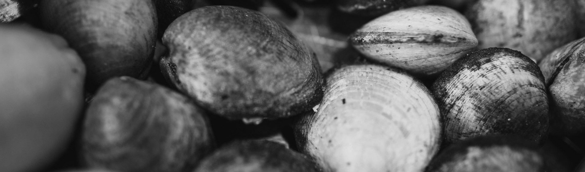 Vente a emporter crabe