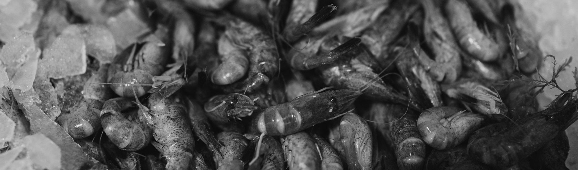 Prix crabe frais Roquefort-La-Bédoule (13830)