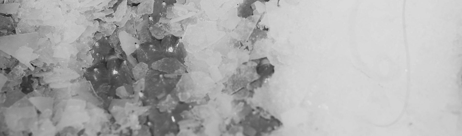 Crabe Septèmes-Les-Vallons (13240)