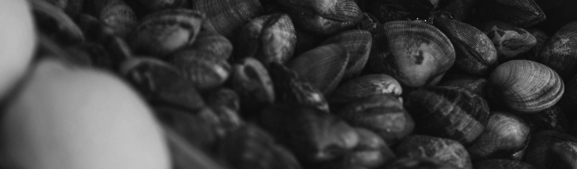 Commander crabe midi et soir