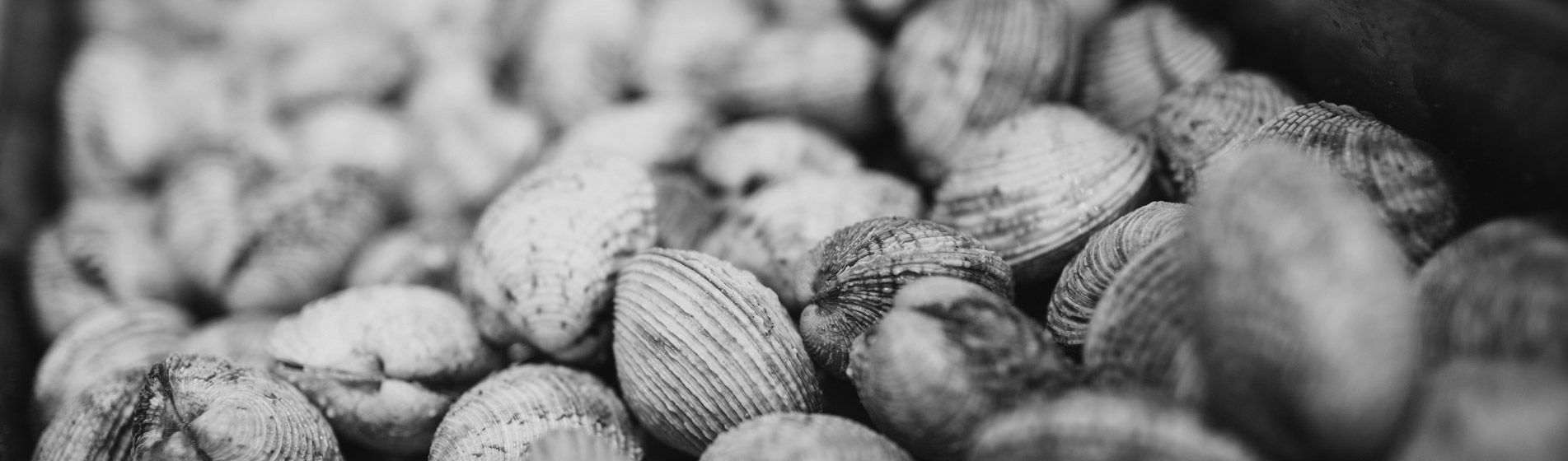 Crabe Belcodène (13720)