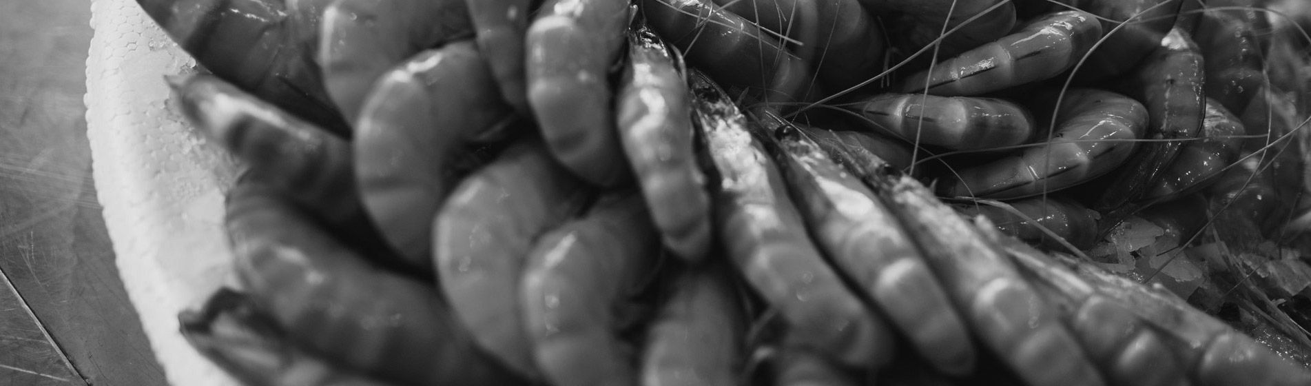 Commander crabe midi et soir