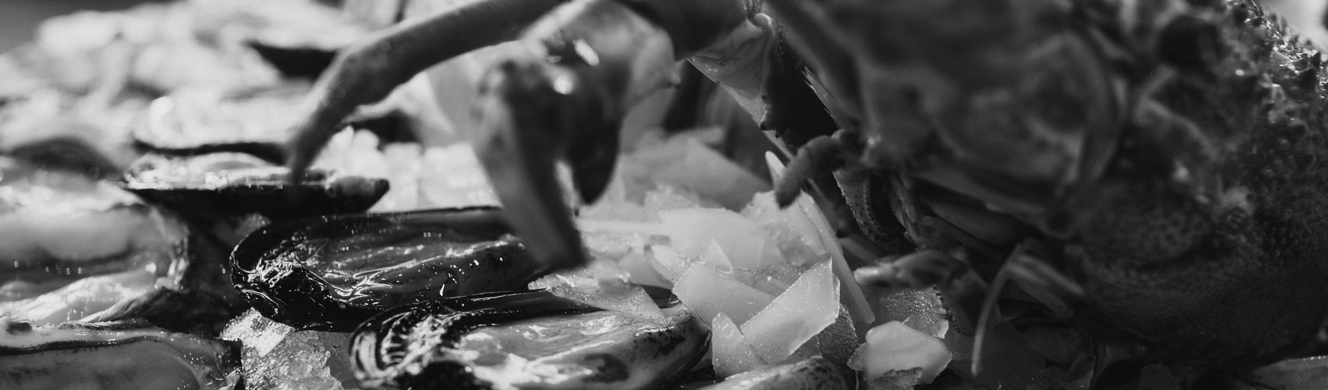 Commander crabe midi et soir