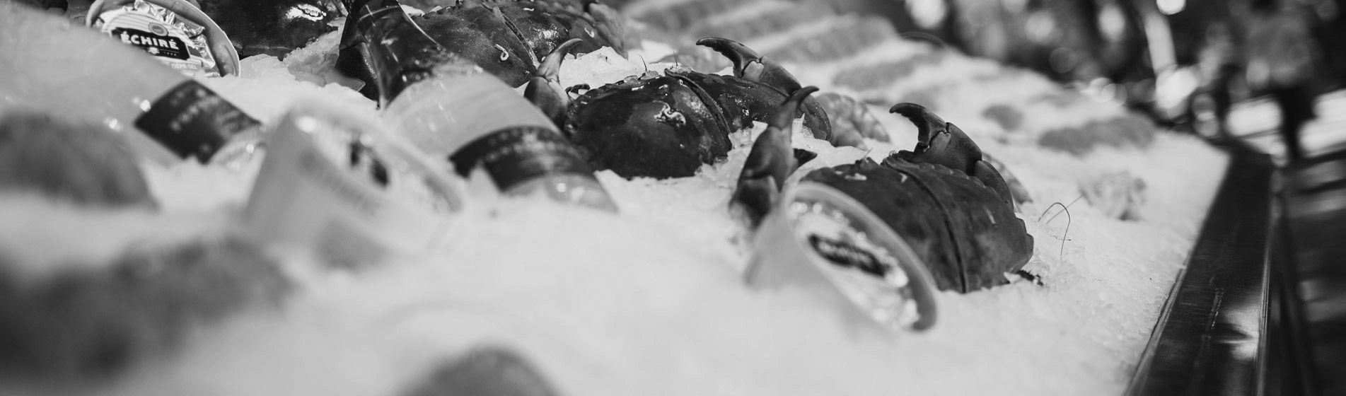 Crabe royal Aubagne (13400)