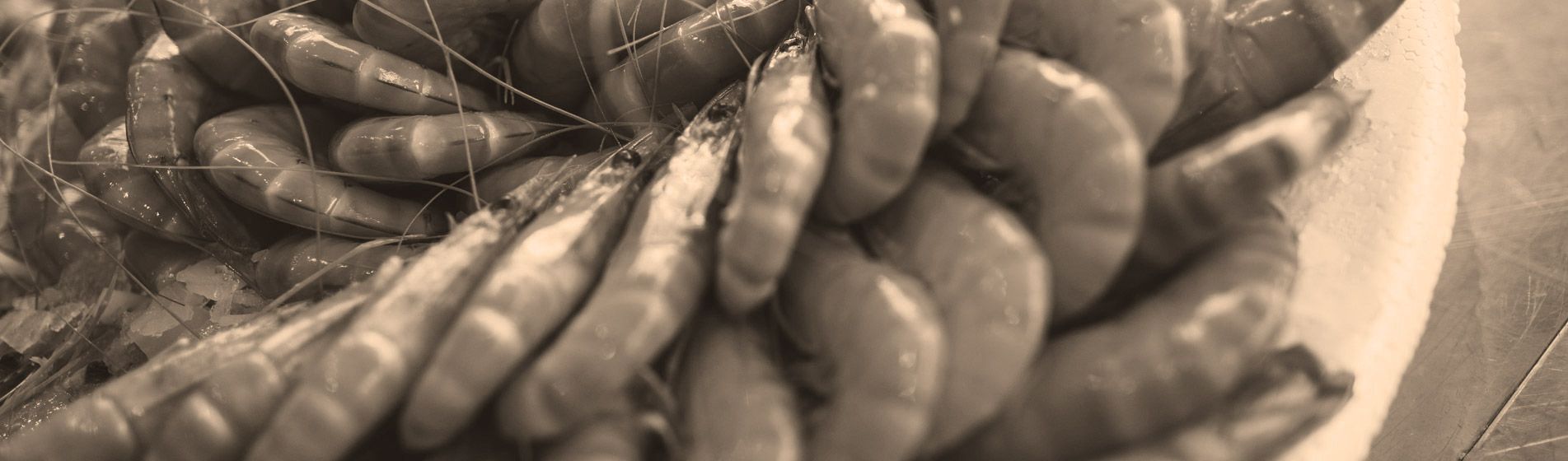 Commander crabe midi et soir