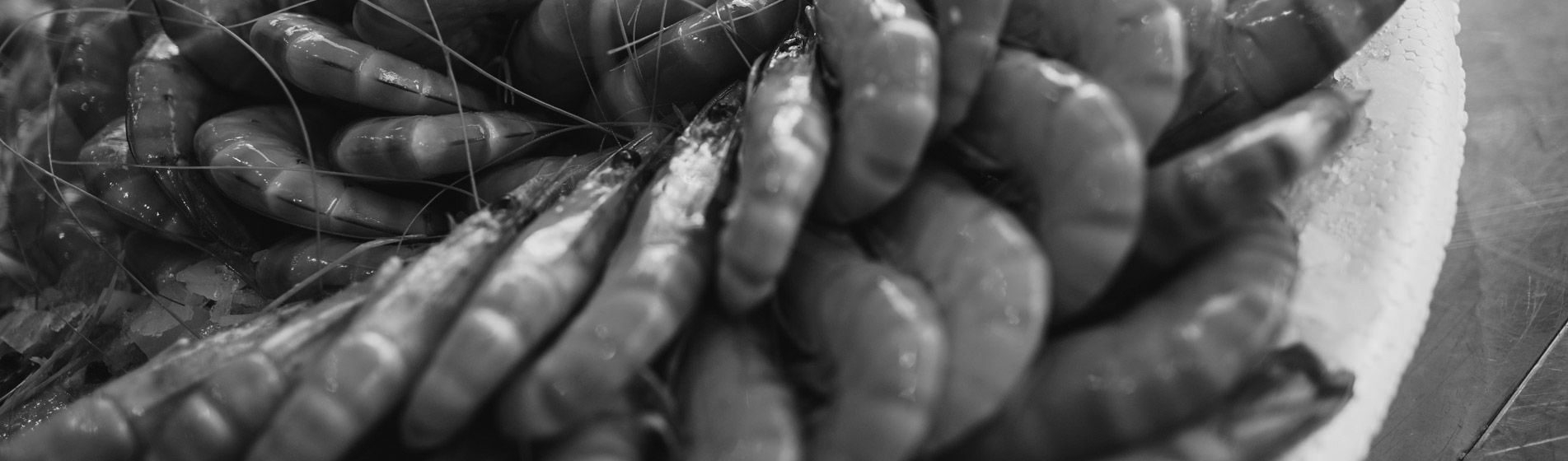 Prix crabe frais Septèmes-Les-Vallons (13240)