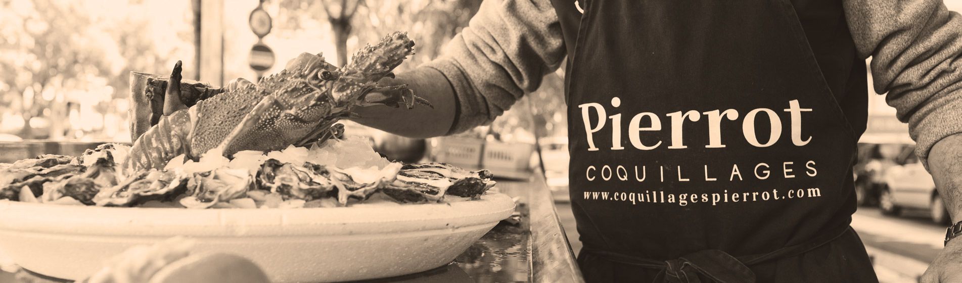 Crevette grise calambo