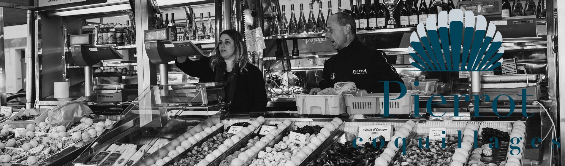 Crevette grise calambo