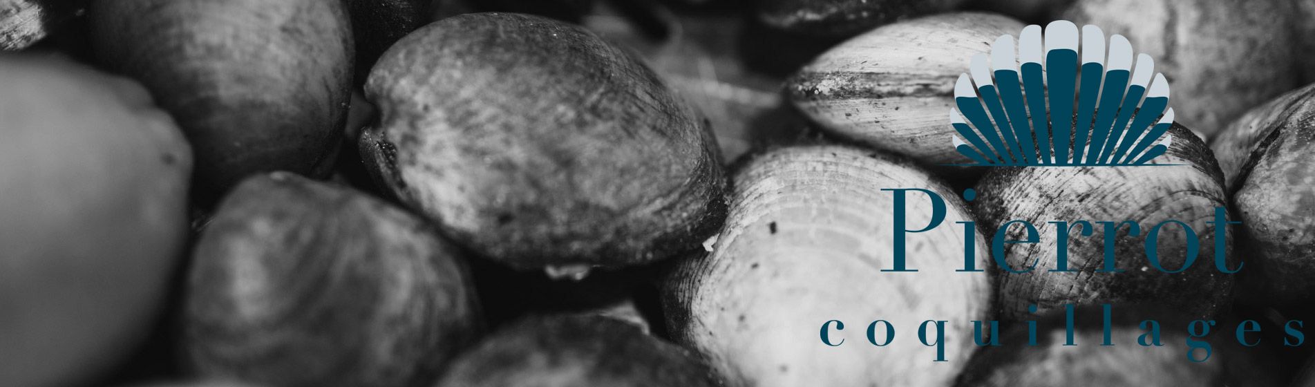 Acheter crevette Cadolive (13950)