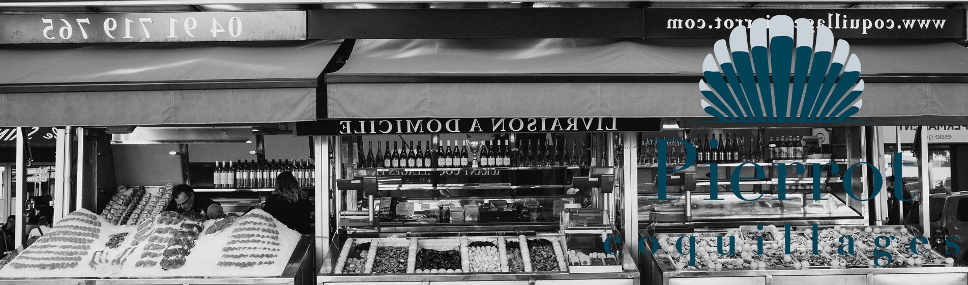 Crevette grise calambo