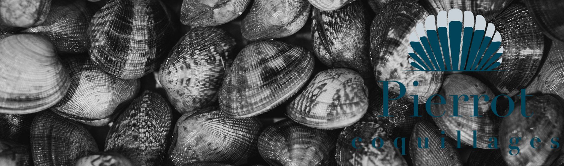 Crevette grise calambo