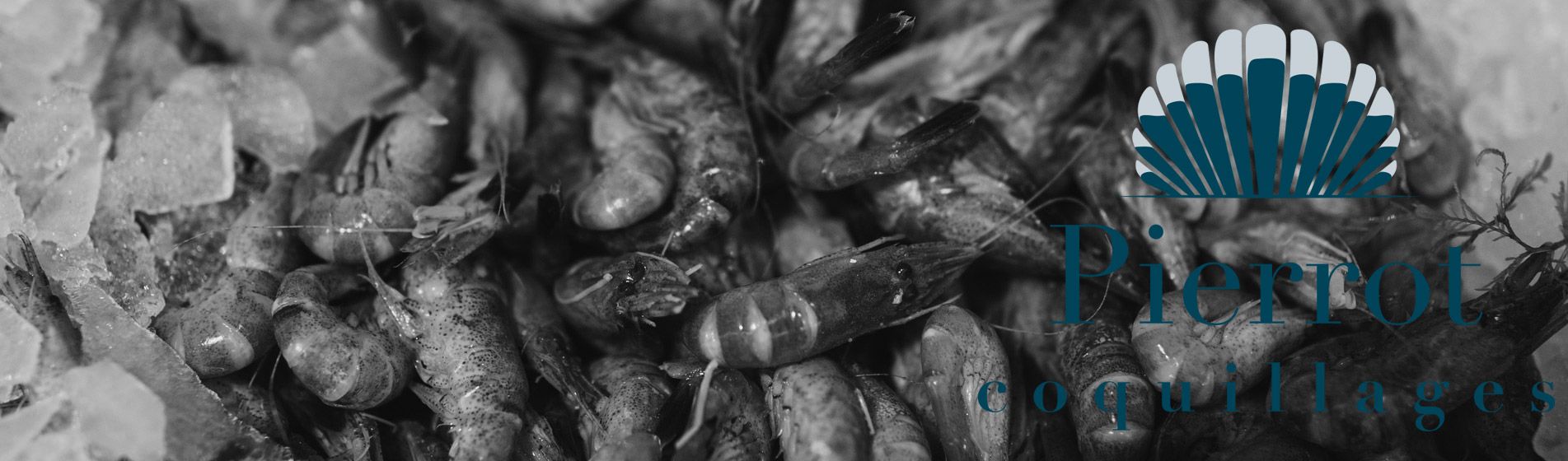 Acheter crevette Ceyreste (13600)