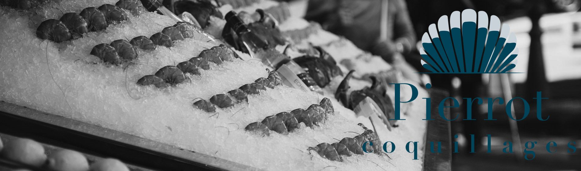 Crevette grise calambo