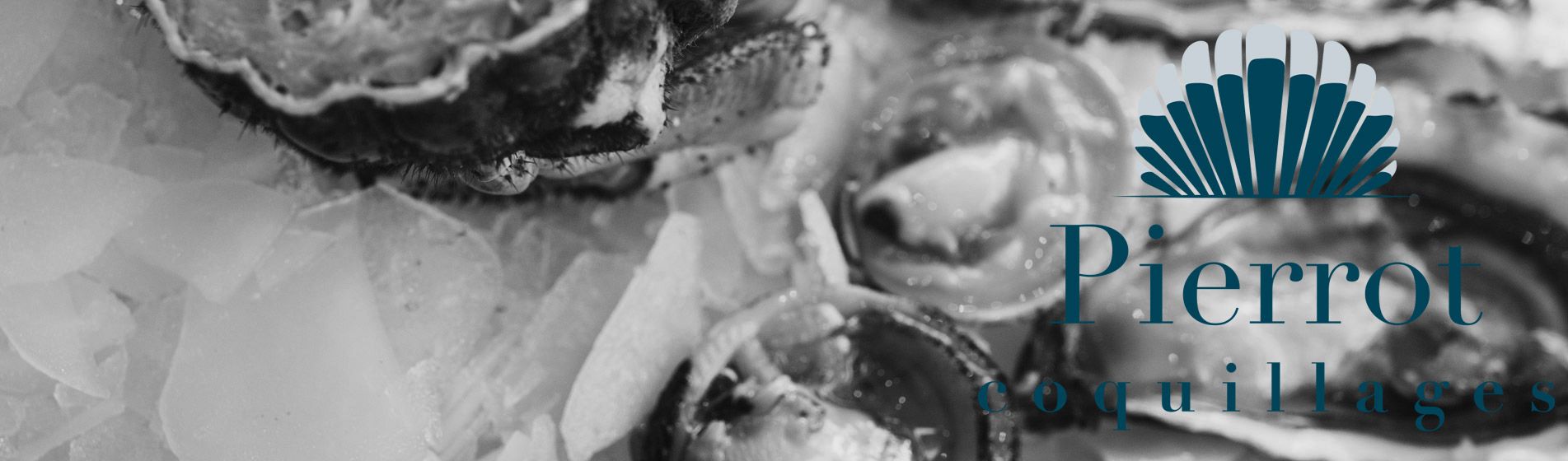 Crevette grise calambo