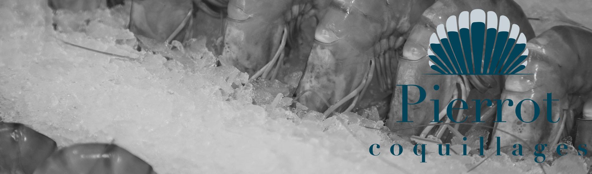 Crevette calibre 10/15 - 20/30 - 40/60