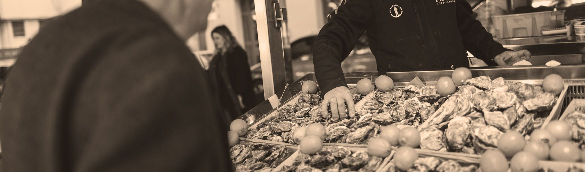 Crevette grise calambo