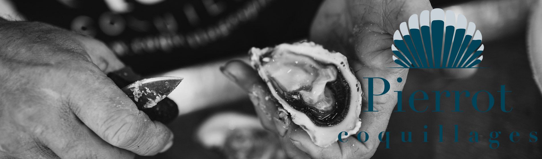 Crevette Ceyreste (13600)