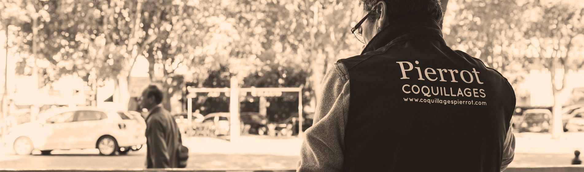 Crevette grise calambo