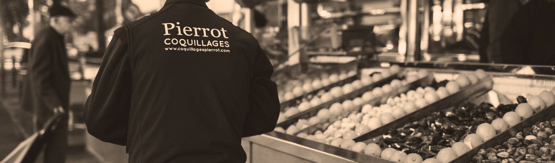 Crevette calibre 10/15 - 20/30 - 40/60